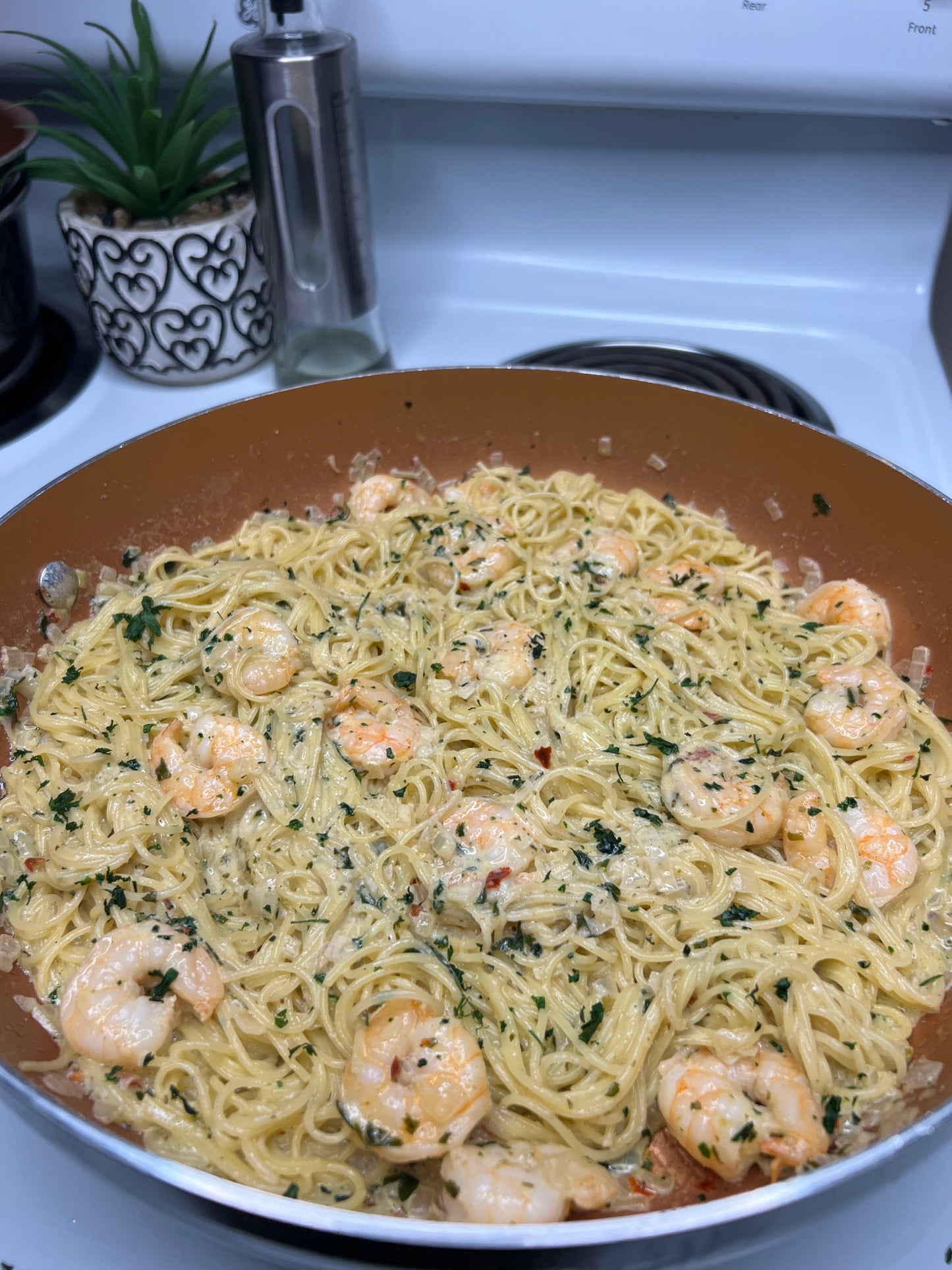 Pasta & Rice E- Book 10 recipes